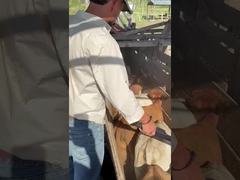 PT290 LF αναγνώστης ακουστικών ετικετών βοοειδών αναγνώστης RFID