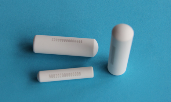 Ετικέτα αναγνώρισης ζώων Γέματα Rfid Bolus 134.2khz
