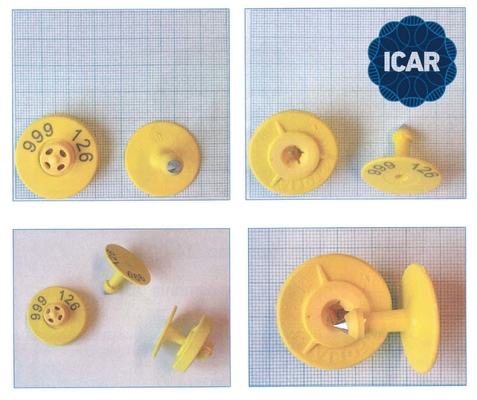 ISO11784/5 Μη κοινόχρηστος κωδικός ICAR RFID Ear Tag για ταυτοποίηση ζώων με αναγνώστη BLE και πλήρη κυκλική υποστήριξη ICAR ET908