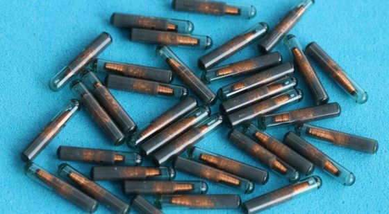 ISO 11784/5 Waterproof Mini Tag Pet ID Microchip Animal RFID Chip for Secure Animal Identification