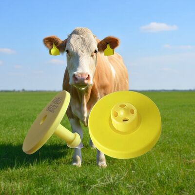 Ηλεκτρονικές ετικέτες αυτιών βοοειδών που παρέχουν ακριβή αναγνώριση ζώων και παρακολούθηση υγείας με ασφαλή ασύρματη επικοινωνία