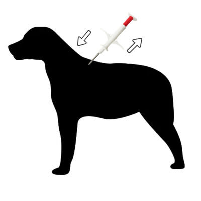Εξαιρετικά μικρός και ελαφρύς FDX-B Mini Animal Transponder for Animal Shelters ZS007