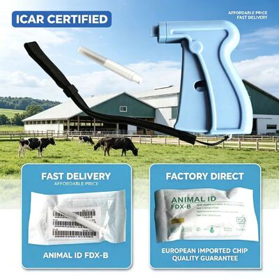 Πιστοποιητικό ICAR ISO Transponder Microchip σχεδιασμένο για ασύρματη επικοινωνία και ανθεκτική απόδοση σε συστήματα αυτοκινήτων και ασφάλειας