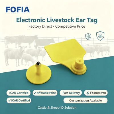 TPU Fofia ICAR T904 Ετικέτα αυτιού για ζώα για βοοειδή πρόβατα χοίρους αγελάδες κατσίκες