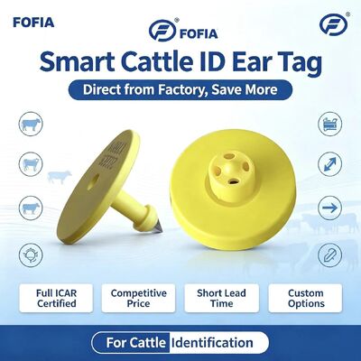 Πλήρης ICAR ET908+T901 Αδιάβροχο RFID LF TPU Κίτρινο ζώο αυτιά 14.5mm EM4305 τσιπς 5 χρόνια εγγύηση Γήρατος Fofia