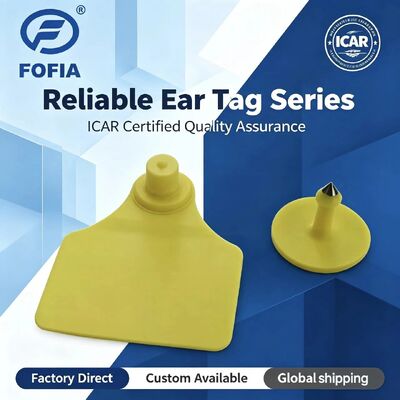 Αδιάβροχο ICAR Fofia T904+T901 Animal Ear Tag Νέα υψηλής ποιότητας RFID TPU 72*57mm Λαζερική κωδικοποίηση 3 ετών εγγύηση για χρήση σε αγροκτήματα