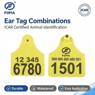 Υψηλής ποιότητας TPU Split Medium Bull Ear Animal Tags Νέα κατάσταση για τις βιομηχανίες κτηνοτροφίας