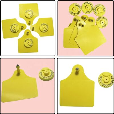 Υψηλής ποιότητας TPU Split Medium Bull Ear Animal Tags Νέα κατάσταση για τις βιομηχανίες κτηνοτροφίας