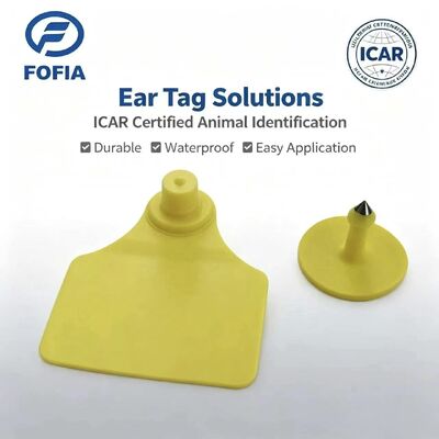 Ανθεκτικό Ανερό ICAR Fofia T904 + T901 Τσιπ ακουστικής σήμανσης ζώων RFID TPU Laser Coding 3ετής εγγύηση Παρακολούθηση βοοειδών