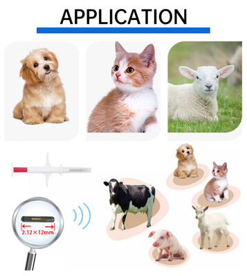 Ανερόφθαλμος Φόφια Νέο Hot Sale RFID 134.2kHz PP Υλικό Dog ID Microchip Ανερόφθαλμος Χρησιμοποίηση Φάρμας Πειραματόζωο Ενέσιμη 1,5 Χρόνια Ετικέτα Ακουστικού