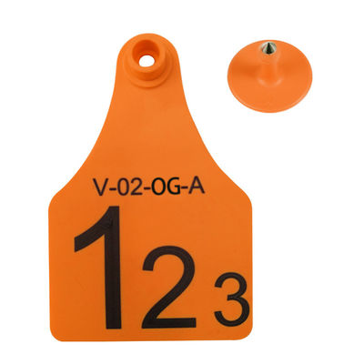 Ζωηρόχρωμη ηλεκτρονική υποστήριξη εκτύπωσης λέιζερ ετικεττών αυτιών κουνελιών ή γραψίματος χεριών μη μίας χρήσης τύπος